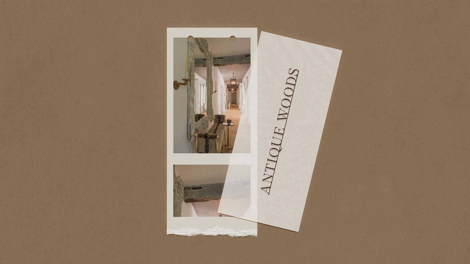 Antique Woods editorial photography with wordmark