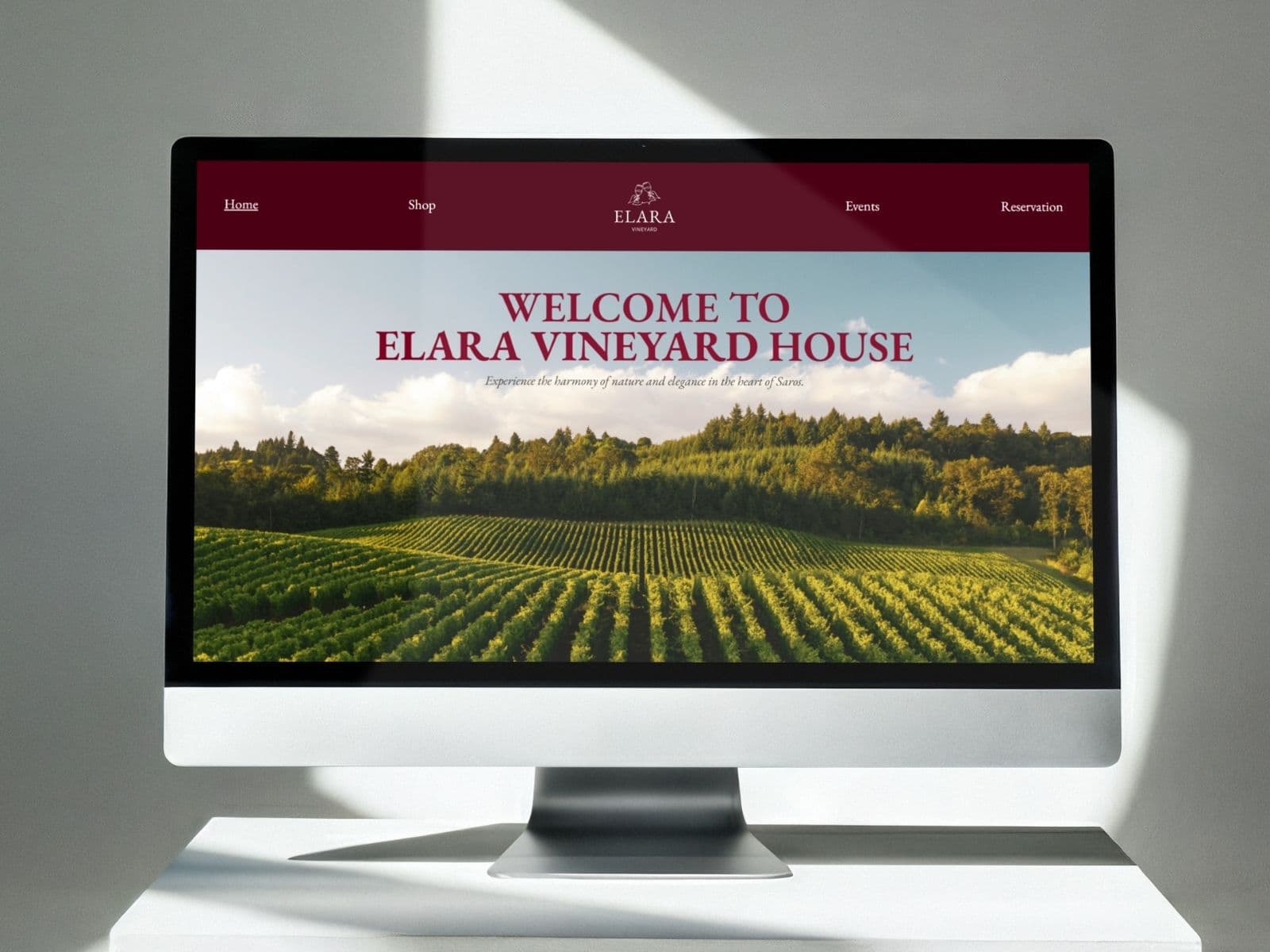 Vineyard premium template hero